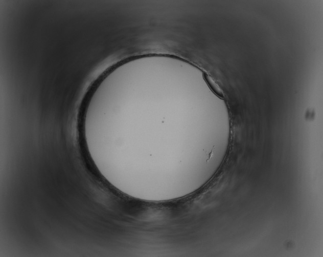 X0000102810248200809081115