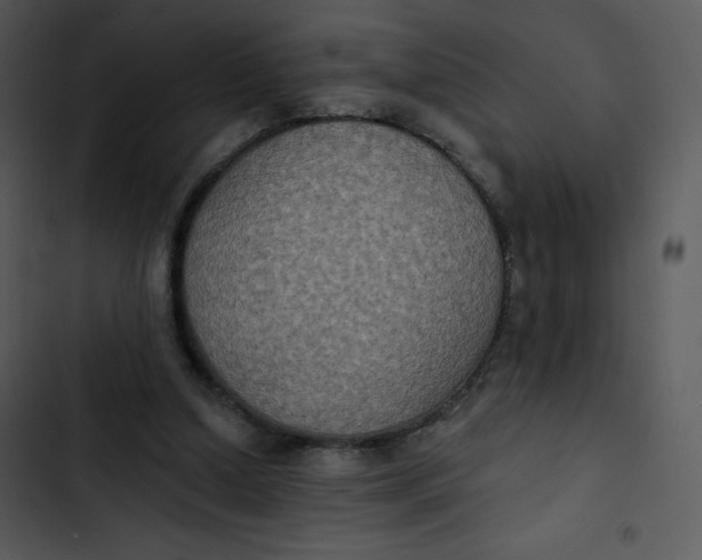 X0000102810250200809081115