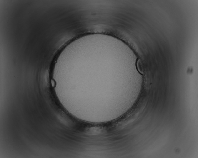 X0000102810251200809081115