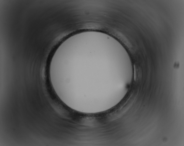 X0000102810252200809081115