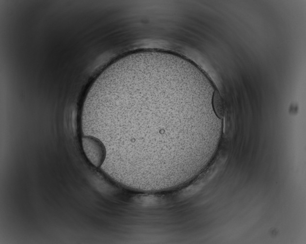 X0000102810253200809081115