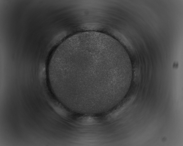 X0000102810254200809081115