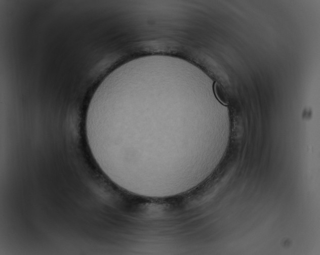 X0000102810255200809081115