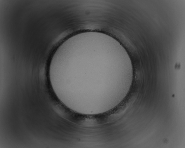 X0000102810256200809081115