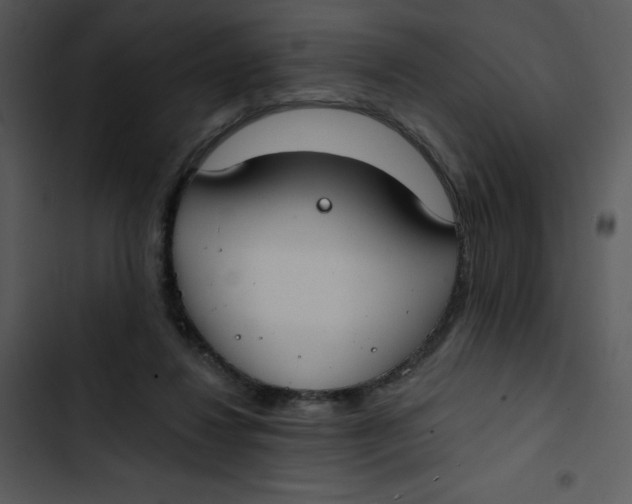 X0000102810260200809081115