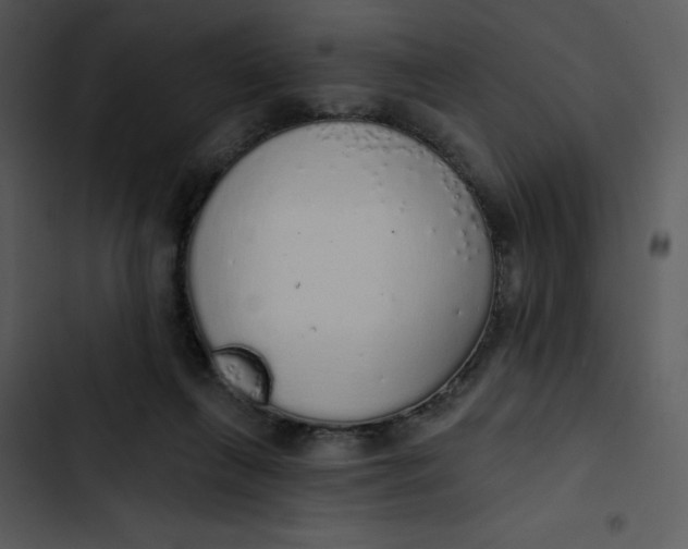 X0000102810263200809081115