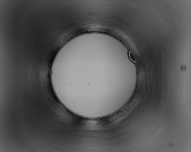 X0000102810265200809081115