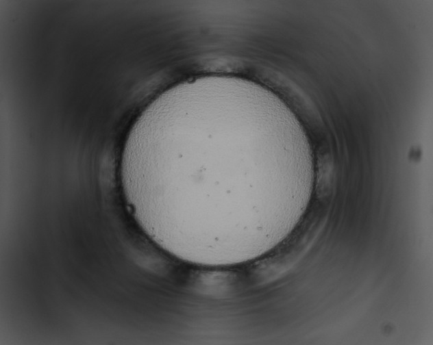 X0000102810268200809081115