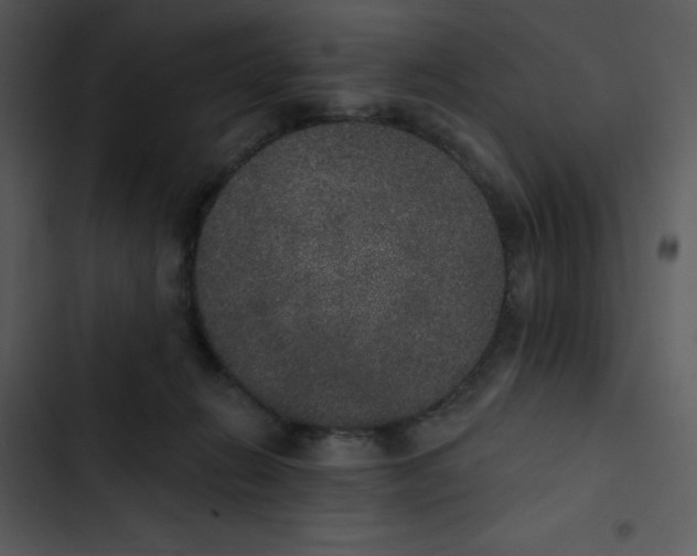 X0000102810270200809081115