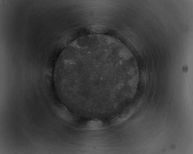 X0000102810271200809081115