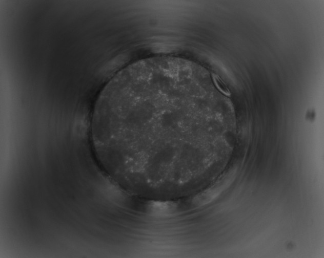 X0000102810277200809081115