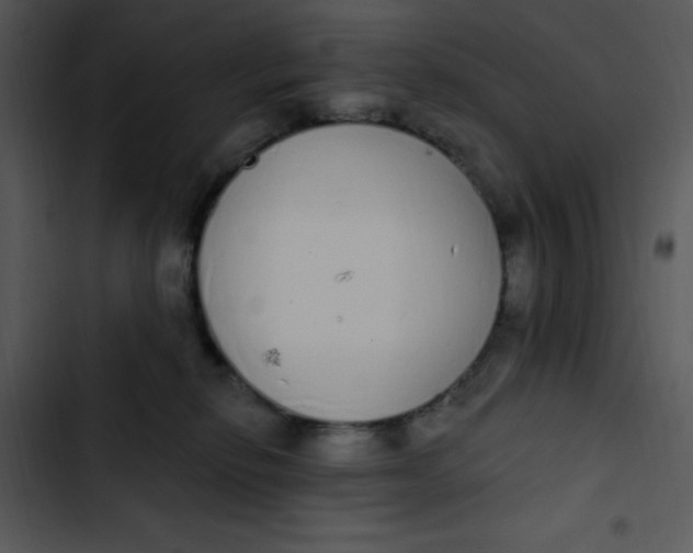 X0000102810278200809081115