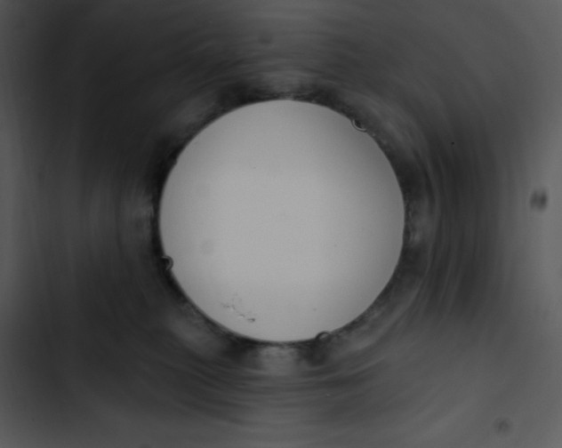 X0000102810279200809081115