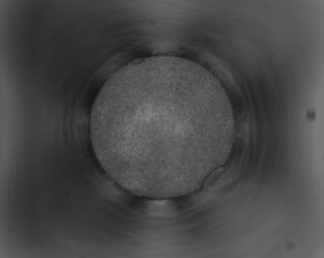 X0000102810281200809081115