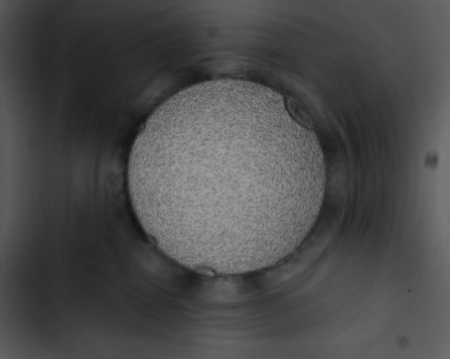 X0000102810282200809081115