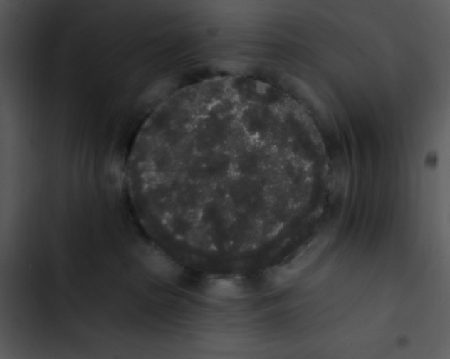 X0000102810285200809081115