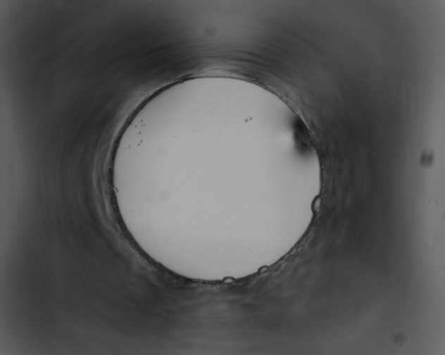 X0000102810289200809081114