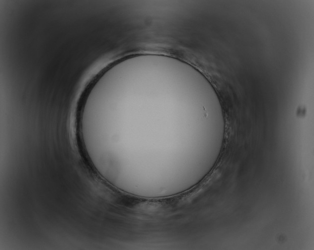 X0000102810294200809081114