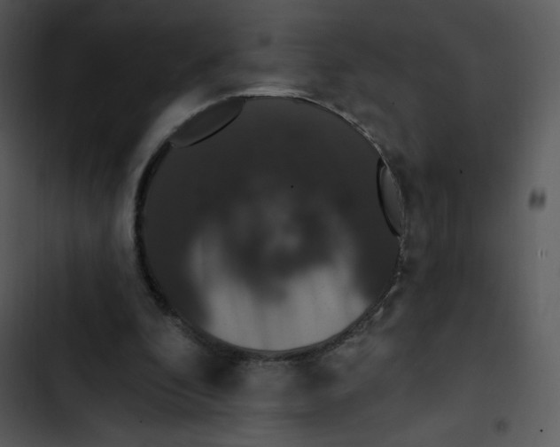 X0000102810296200809081114