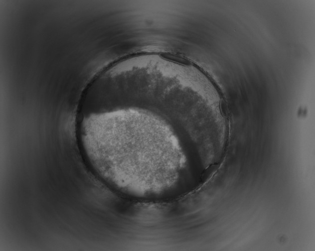 X0000102810297200809081114