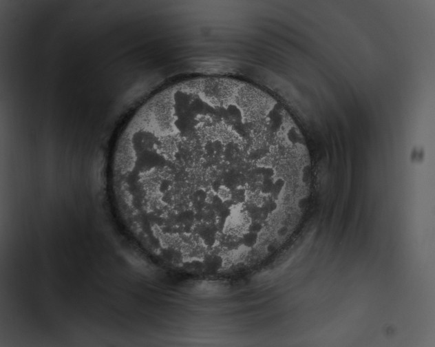 X0000102810303200809081114