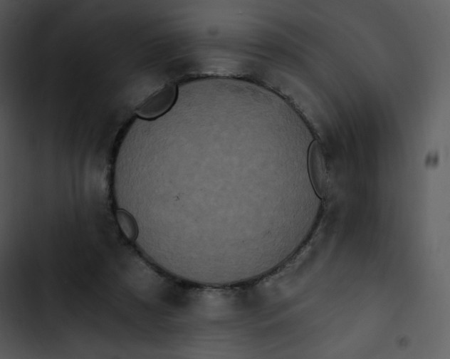 X0000102810305200809081114