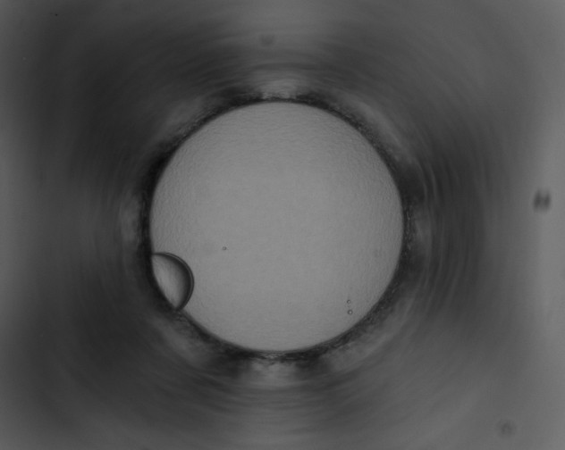 X0000102810311200809081114