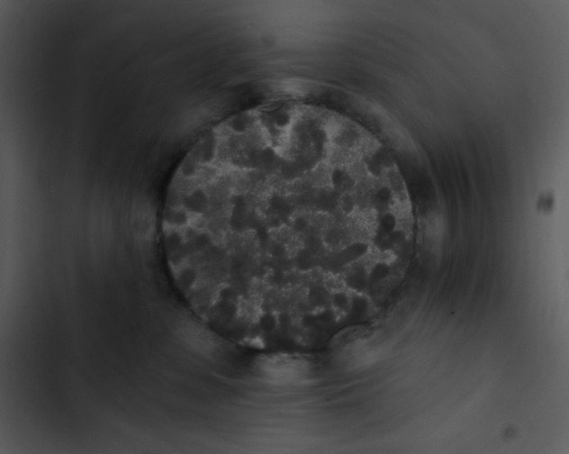 X0000102810331200809081114