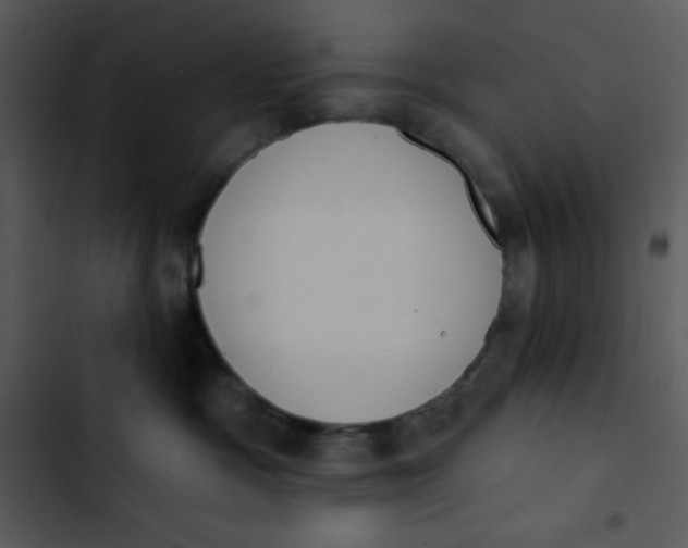 X0000102810333200809081114