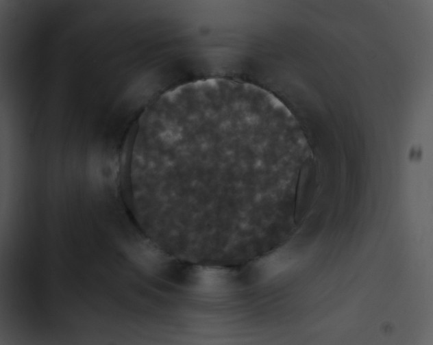 X0000102810336200809081114