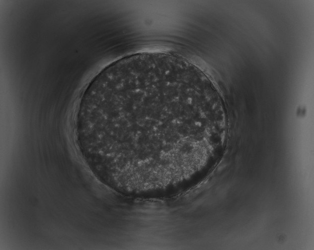 X0000102810337200809081113