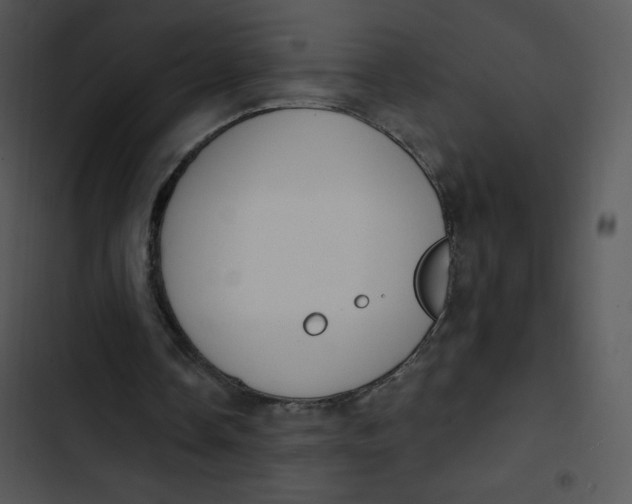 X0000102810338200809081113