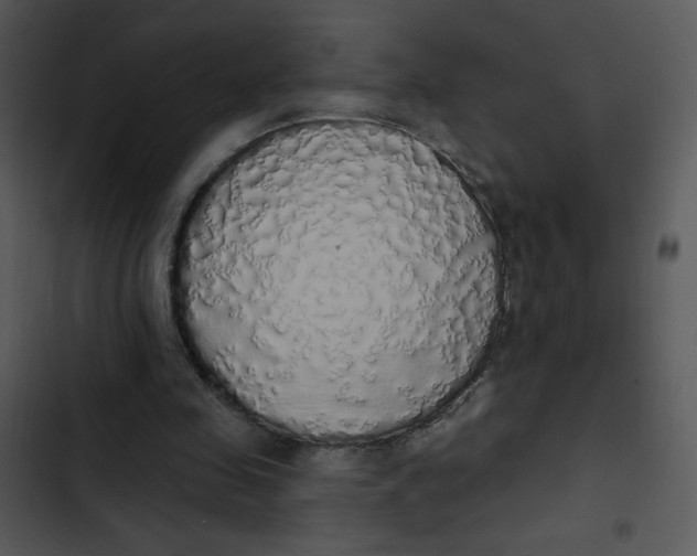 X0000102810341200809081113