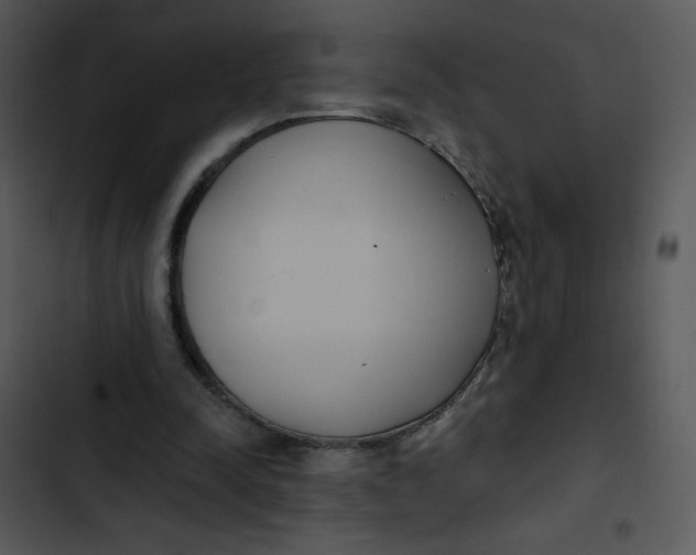 X0000102810342200809081113