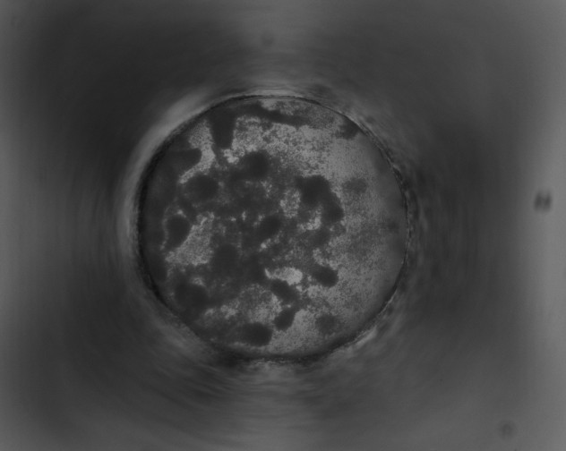 X0000102810343200809081113