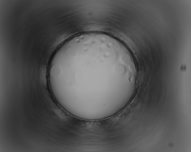 X0000102810345200809081113