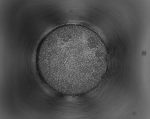 X0000102810346200809081113