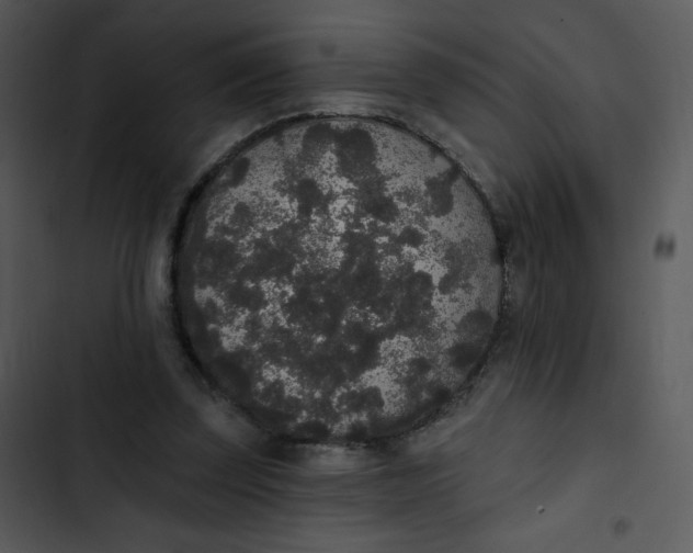 X0000102810347200809081113