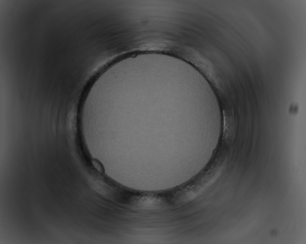 X0000102810348200809081113