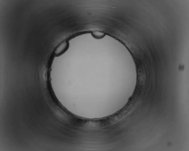 X0000102810350200809081113