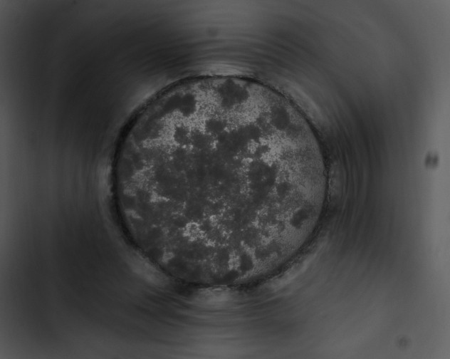 X0000102810351200809081113