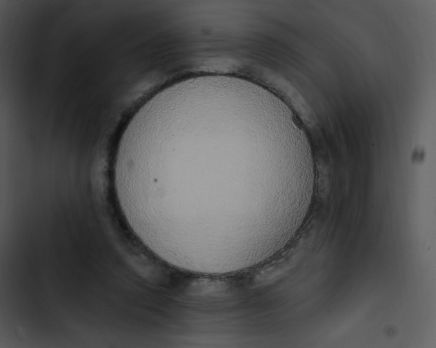 X0000102810354200809081113