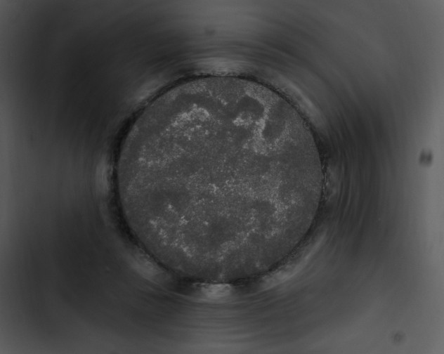 X0000102810355200809081113