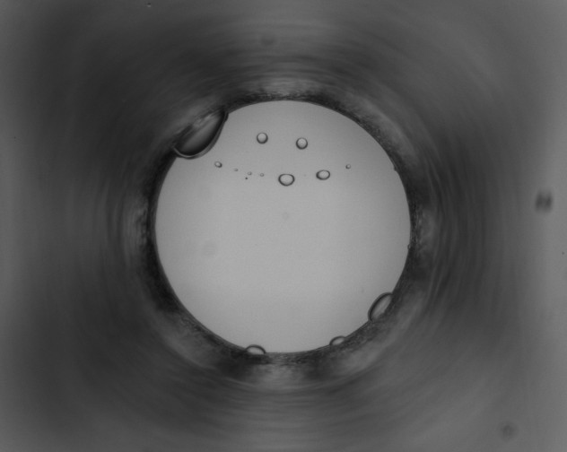 X0000102810356200809081113