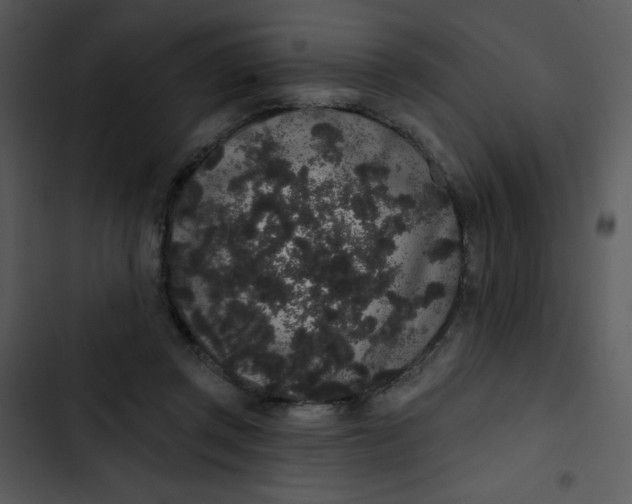 X0000102810357200809081113