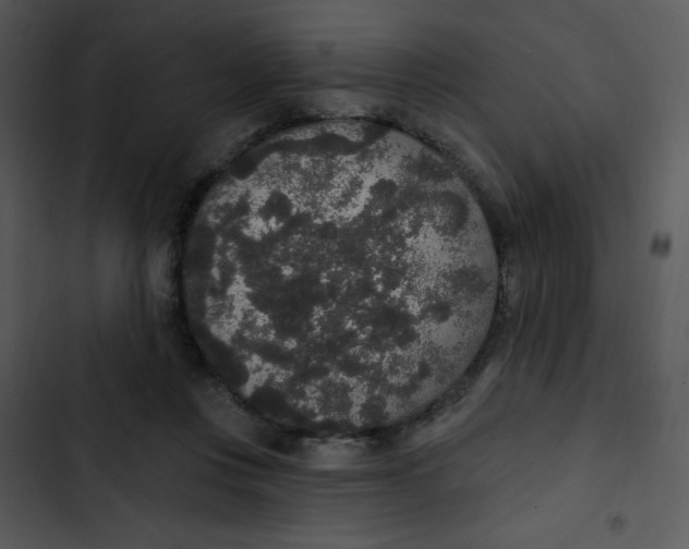 X0000102810359200809081113