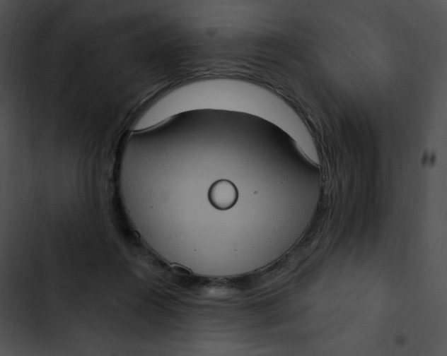 X0000102810360200809081113