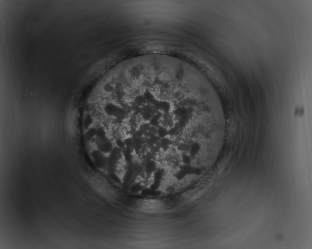 X0000102810361200809081113