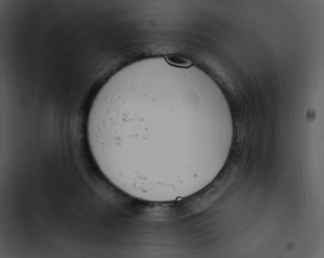 X0000102810362200809081113