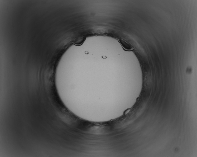 X0000102810364200809081113